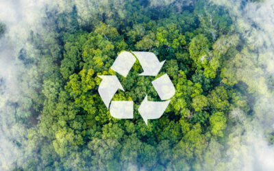 Reduce Your Environmental Impact with Pre-Owned Catering Equipment